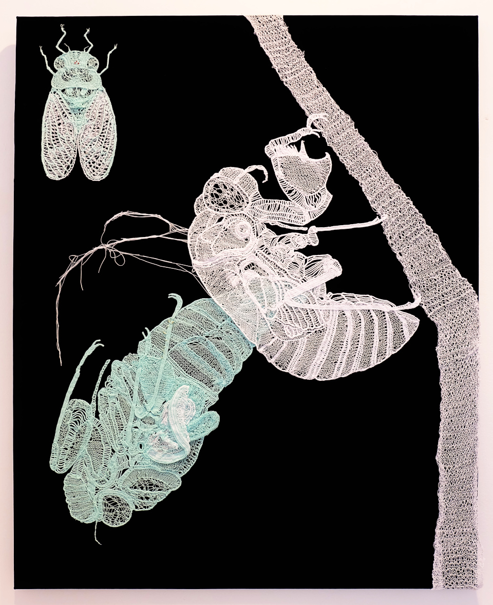 cicada_emerging_image