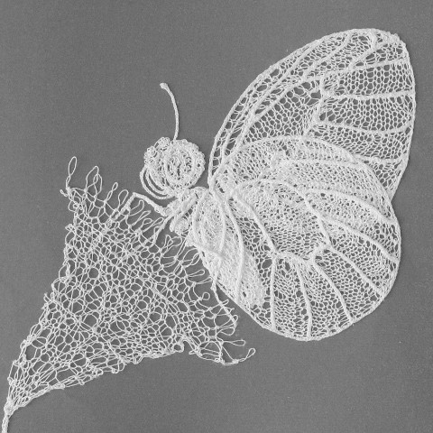 cicada_emerging_image