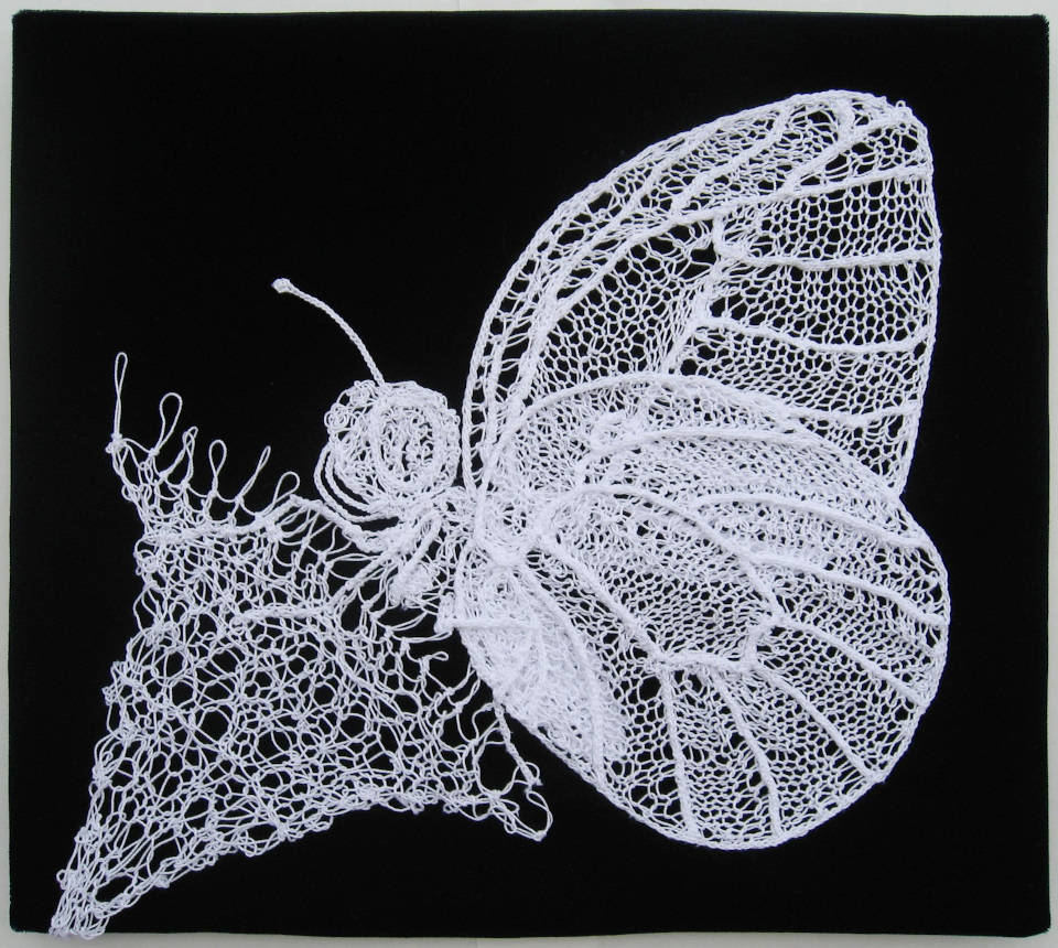 butterfly_lace_image