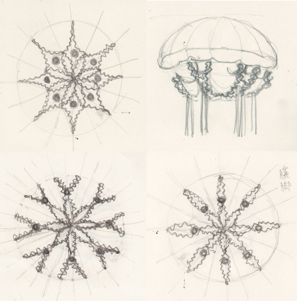 jellyfish_drawing_image