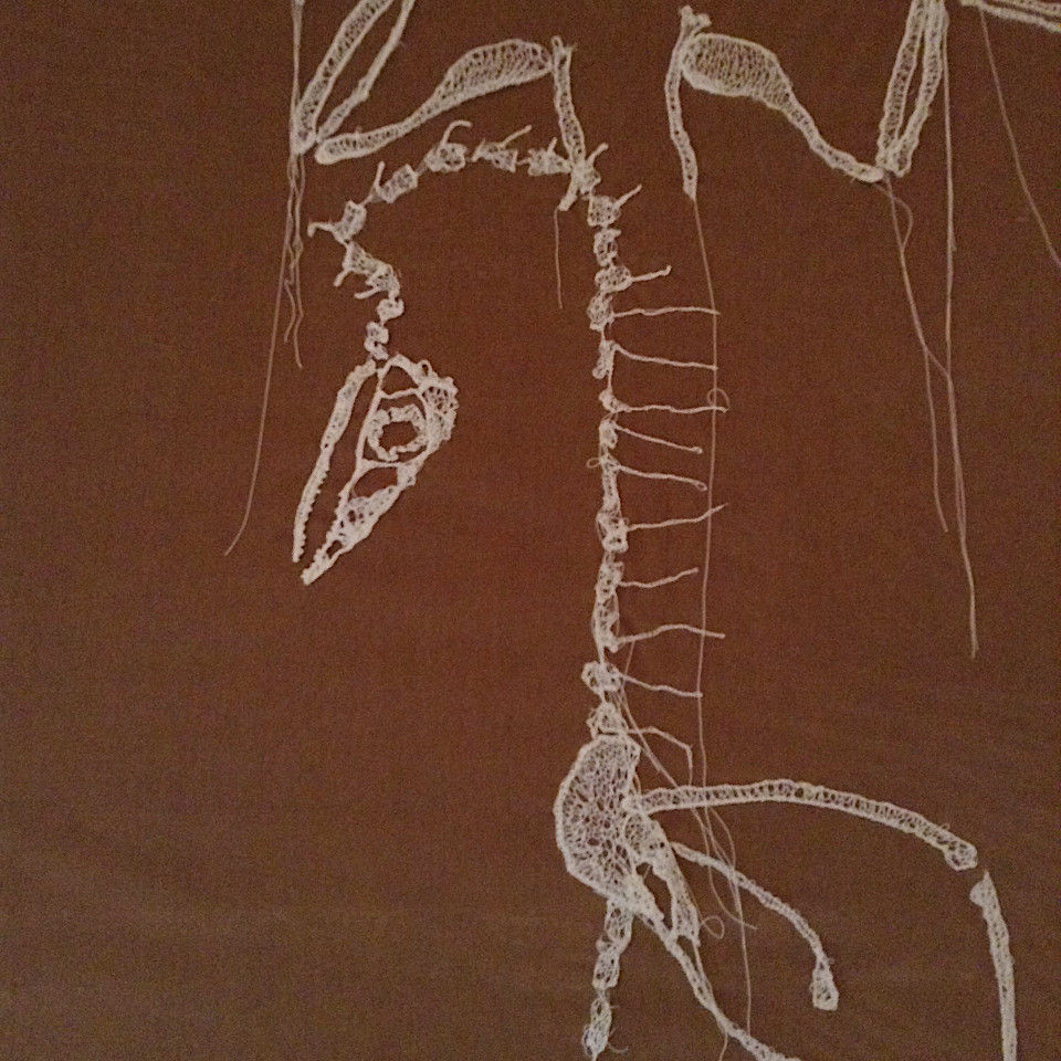 archaeopteryx_lace_image